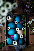 Colored Easter eggs in blue and natural tones with spring flowers in a wooden box