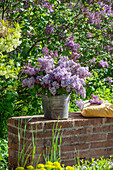 Blumenstrauß aus Fliederblüten (Syringa Vulgaris) im Eimer auf Gartenmauer neben Obstblüten, Zierapfelblüten