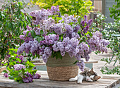Blumenstrauß aus Fliederblüten (Syringa Vulgaris) und Gräsern im Eimer
