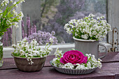 Waldmeisterblüten (Galium Odoratum) in Kuchenform mit Rosenblüte 'Fräulein Maria' und als Strauß auf Holztisch