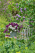 Fliederstrauss (Syringa Vulgaris) in Kübel auf Gartenbank in eingewachsenem Garten