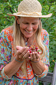 Frau erntet Kirschen (Prunus Avium) und hält Früchte in den Händen, Portrait