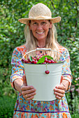 Woman harvesting cherries (Prunus Avium) in enamel bucket in summer garden