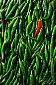 Green bird's eye chillies with a red cayenne pepper pod