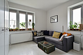 Bright studio with corner sofa and window sills full of plants