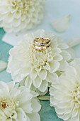 White dahlia flowers with wedding rings on a pastel blue background