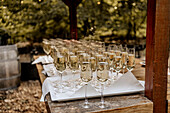 Rows of champagne glasses on an outdoor wooden table