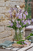 Funkia (Hosta) 'El Nino' in vases