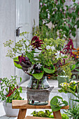 Bouquet of fennel flowers, amaranth foxtail (Amaranthus caudatus), hosta in a vase on the patio