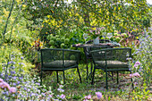 Sitzplatz im Garten mit gedecktem Tisch und Blumenstrauß aus Ballhortensie 'Annabell', Lampenputzergras und  Herbstanemonen (Anemone hupehensis) vor Blumenbeeten