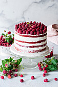 Red velevt raspberry cake with raspberry jelly and raspberry jam
