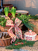 Christmas kitchen decorations with hyacinths, ribbon and fir branches