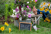 Frau macht Pause vor Strauß aus Schmuckkörbchen, Zierlauch, Spinnenblume, Schafgarbe, Amaranth, Katzenminze, Agastache ‘Blue Fortune’ in Giesskanne