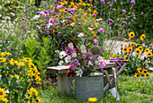 Bouquet in the garden with ornamental baskets, ornamental leeks, spider flower, yarrow, amaranth, catnip in watering can with Patagonian verbena