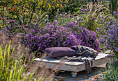 Paletten als mobiler Sitzplatz vor Blumenbeet mit Astern  (Aster), Federborstengras (Pennisetum alopecuroides), Argentinischem Eisenkraut (Verbena bonariensis)