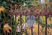 Herz an Gartenzaun hängend mit Wildem Wein und Windlichtern im Herbst