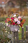 Gemischter Strauß aus Rosen 'Stanwell Perpetual', Ligusterbeeren, Schneebeeren, Hagebutten, roten Brombeerblättern in Korb an Zaun