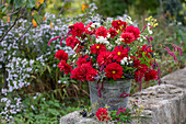 Autumn bouquet of dahlias (Dahlia), yarrow, borage, oriental knotweed, privet berries, fennel flowers