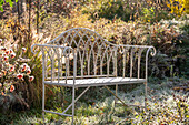 Sitzplatz zwischen Herbstchrysanthemen (Chrysanthemum indicum) und Lampenputzergras (Pennisetum Alopecuroides) beim ersten Frost