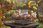 Herbstkranz mit Ranken von Baumwürger (Celastrus Orbiculatus) und Fruchtstände der Waldrebe (Clematis), mit Windlicht