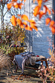 Seat on autumnal terrace in afternoon sunlight