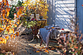 Seat on autumn terrace in the sunlight