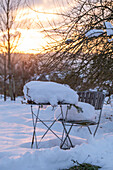 Winter atmosphere in the garden at sunset