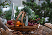 Basket with St Nicholas cones, apples, mandarins, pine, fir and cinnamon, Advent decoration on a pile of wood