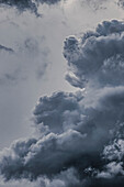 Cumulonimbus storm clouds