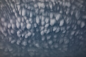 Mammatus clouds over field near Austin, Texas, USA