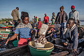 Fisherman bringing in catch, Kenya