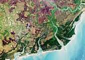Zambezi Delta, satellite image