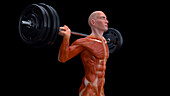 Man preparing to do a weighted squat, illustration