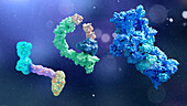 Components of targeted protein degrader drug technologies, illustration