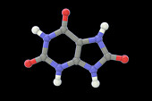 Uric acid molecule, illustration