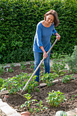 Mounding up potatoes