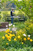 Beet mit Tulpe (Tulipa) 'Marilyn' und 'Strong Gold' vor Frau an Gartentisch