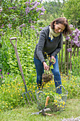 Woman pricking out Ranunculus acris