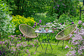 Sitzplatz im Garten mit Sumpf-Wolfsmilch 'Walenburg's Glorie', Zierlauch, Flieder (Syringa), Hortensie (Hydrangea), Schneeflockenstrauch in Blumenbeeten