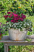 Carnations, marigold and saxifrage