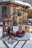 Laterne mit Keramik Krug, Tasse, Äpfel, Zimtstangen in winterlichem Garten und Gartenhütte