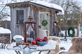 Lantern with ceramic jug, cup, apples, cinnamon sticks in wintry garden and woman in front of garden hut