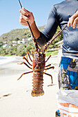 Angler on the beach holding a freshly caught lobster