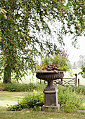 Stone planter with summer flowers in country garden