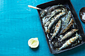 Grilled sardines