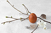 Still life with brown hen's egg, feathers and twig