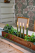 Advent arrangement with green candles and plants in a wooden box