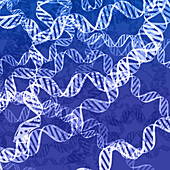 DNA, conceptual illustration
