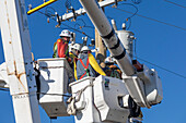 Workers replacing electrical equipment on utility pole