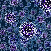 Flu virus, conceptual illustration